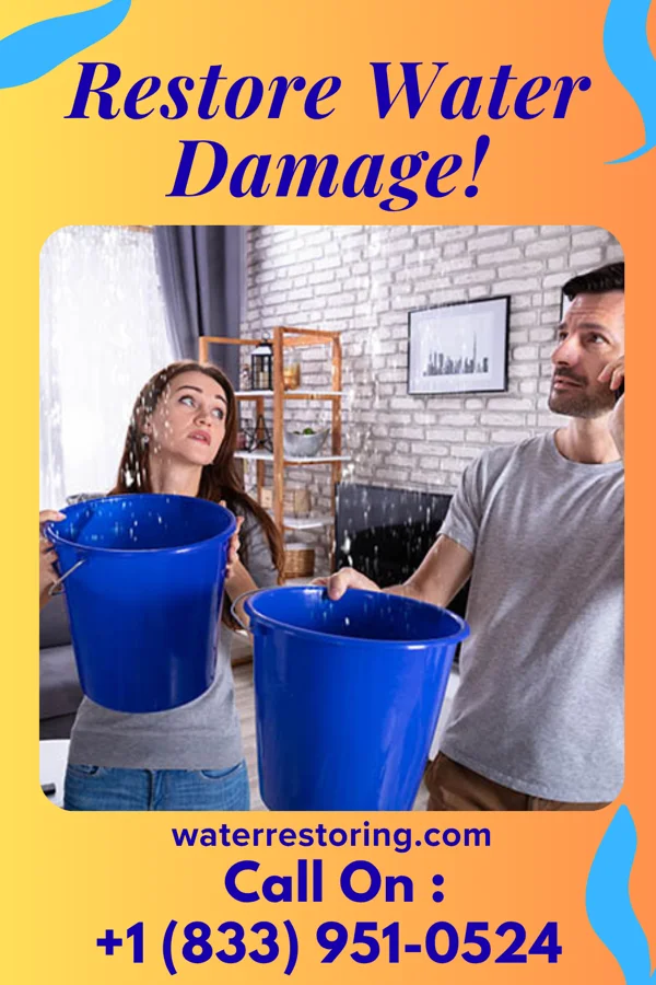 water restoration Sterling Mitigation Inc South Lima